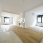 Nov 6.0 stan sa dvorištem, Dunavska, Dorćol, 269m2