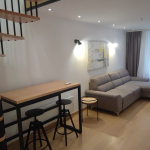 Renoviran, dvosoban stan u centru, Topličin venac