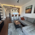 Nov 2.5 stan, Braničevska, Vračar, 63m2, namešten