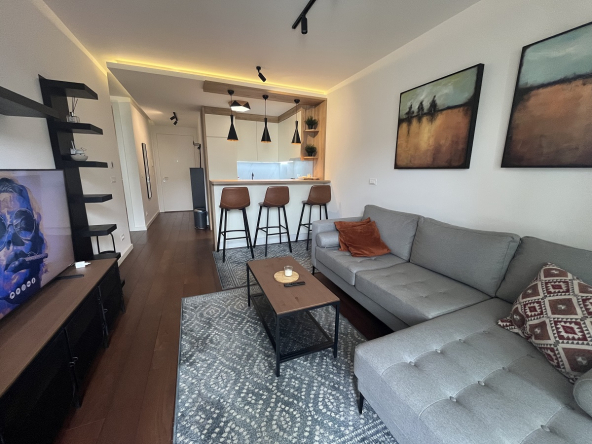 Nov 2.5 stan, Braničevska, Vračar, 63m2, namešten