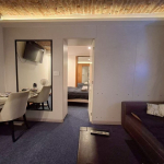 Prodajemo odlican, renoviran 1.5 stan, Zmaj Jovina