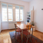 2.0 salonski stan u pešačkoj zoni, Dorćol, 60m2
