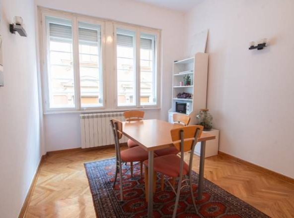 2.0 salonski stan u pešačkoj zoni, Dorćol, 60m2