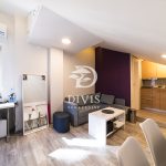 Stan 44 m² Braće Jugović, centar, salonska zgrada