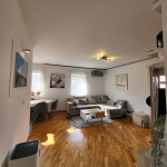 Namešten 3.0 stan u ulici Živka Davidovića, 83m2