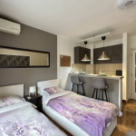 Jednosoban stan na Vračaru za izdavanje u Grahovskoj, 25m2