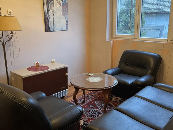 Kuća u Zemunu sa dve jedinice i poslovnim prostorom, 181m2