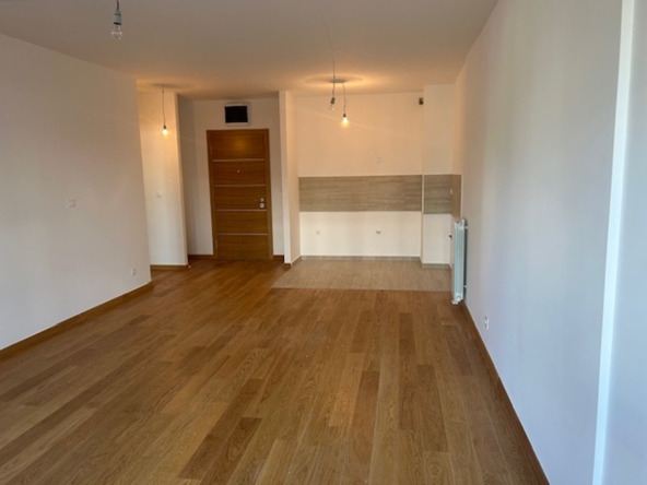 2.0 stan u kompleksu Wellport, Novi Beograd 59m2