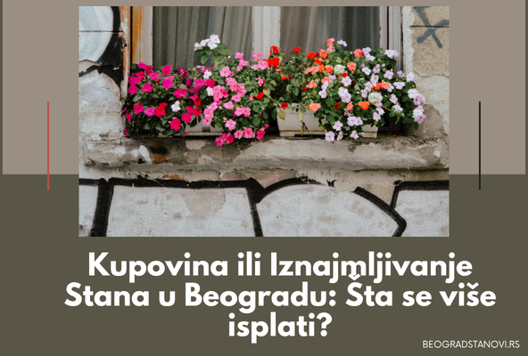 kupovina ili najam stana u beogradu