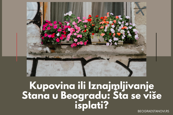 kupovina ili najam stana u beogradu