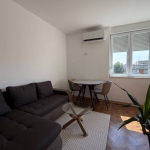 Renoviran 2.0 stan u ulici Jovana Avakumovića 33m2