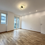 Dvosoban, renoviran stan, 45m2, Vojvode Milenka
