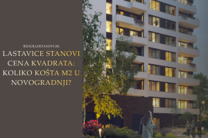 Lastavice Stanovi Cena Kvadrata